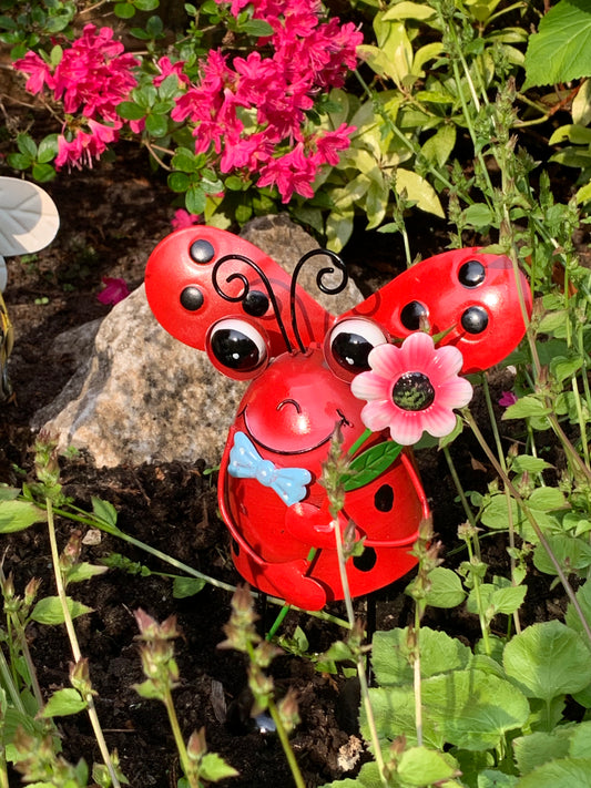 Bright Eyes Metal Medium Ladybird