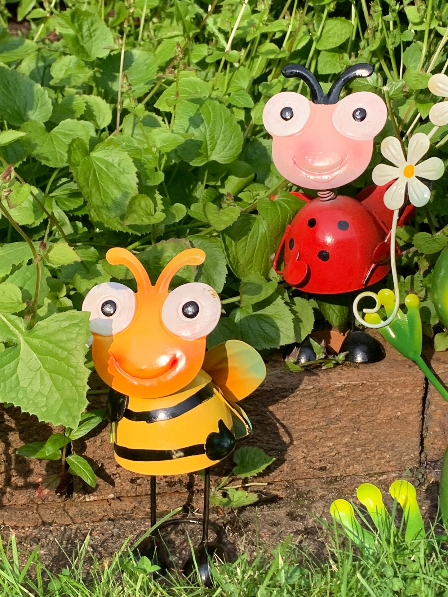Bright Eyes Metal Small Ladybird