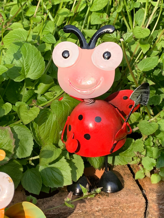 Bright Eyes Metal Small Ladybird
