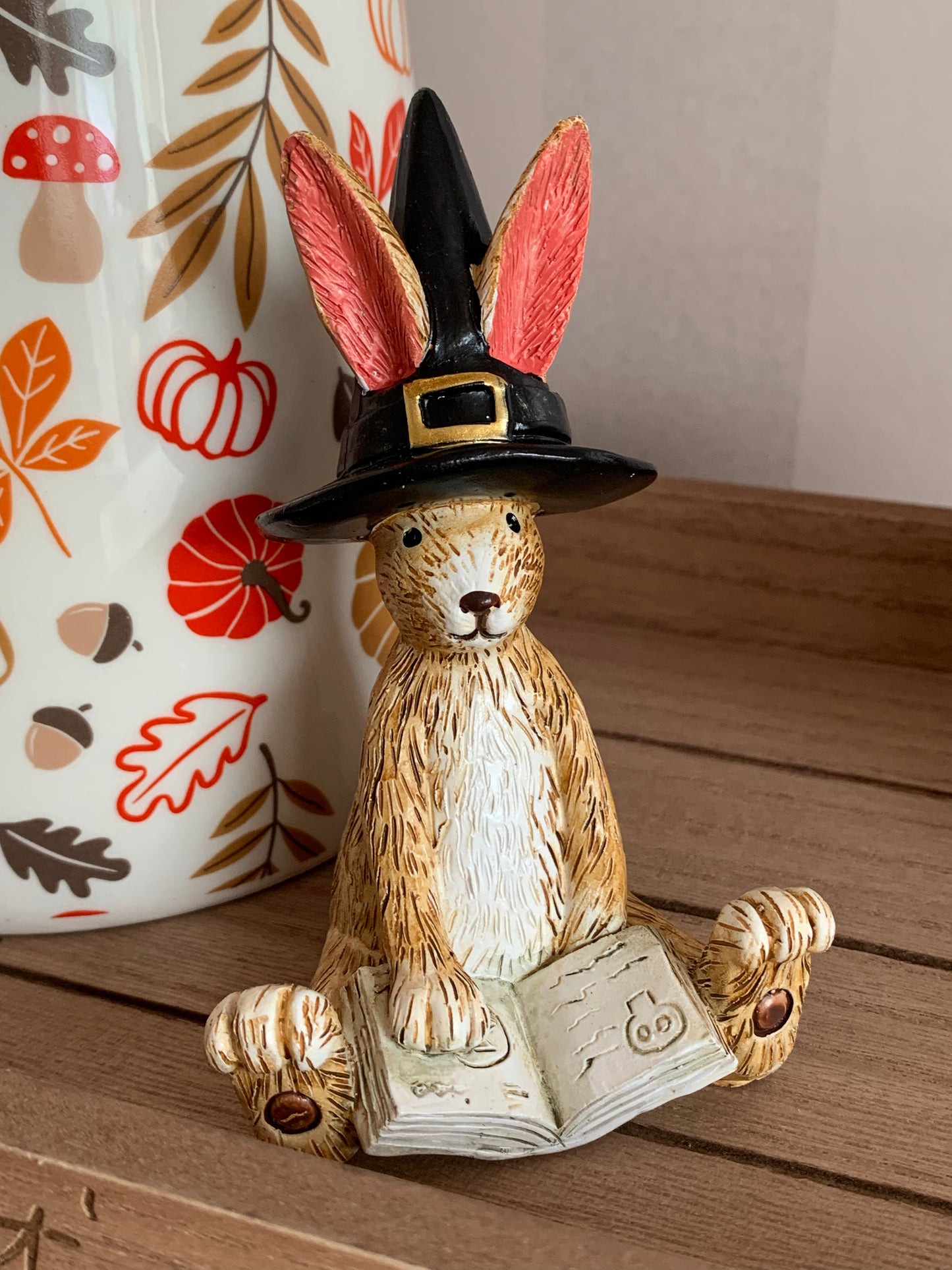 Jasper Rabbit Hocus Pocus