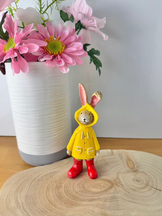 Jasper Rabbit in a raincoat