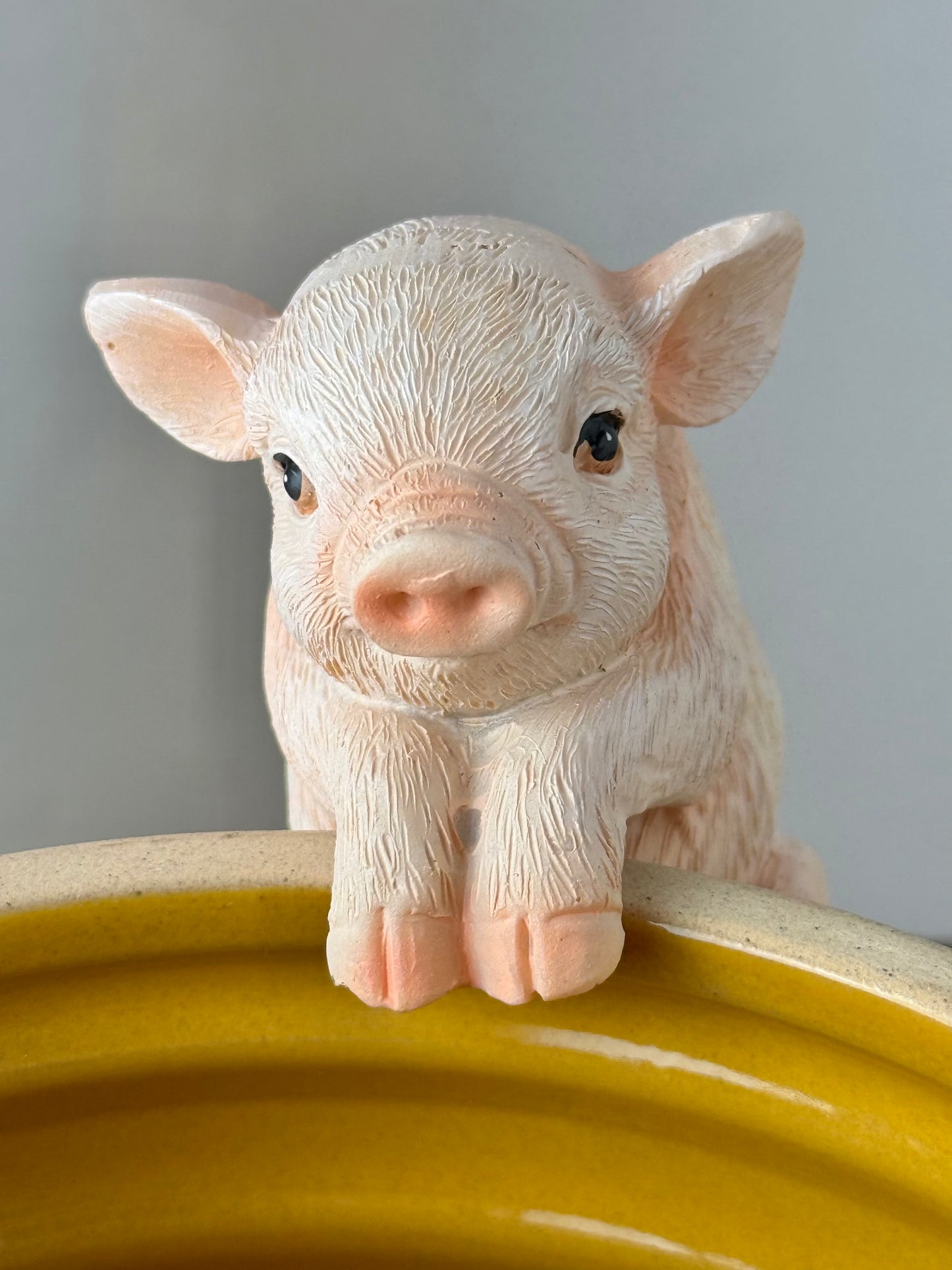 Pink Pig Plant Pot Hanger