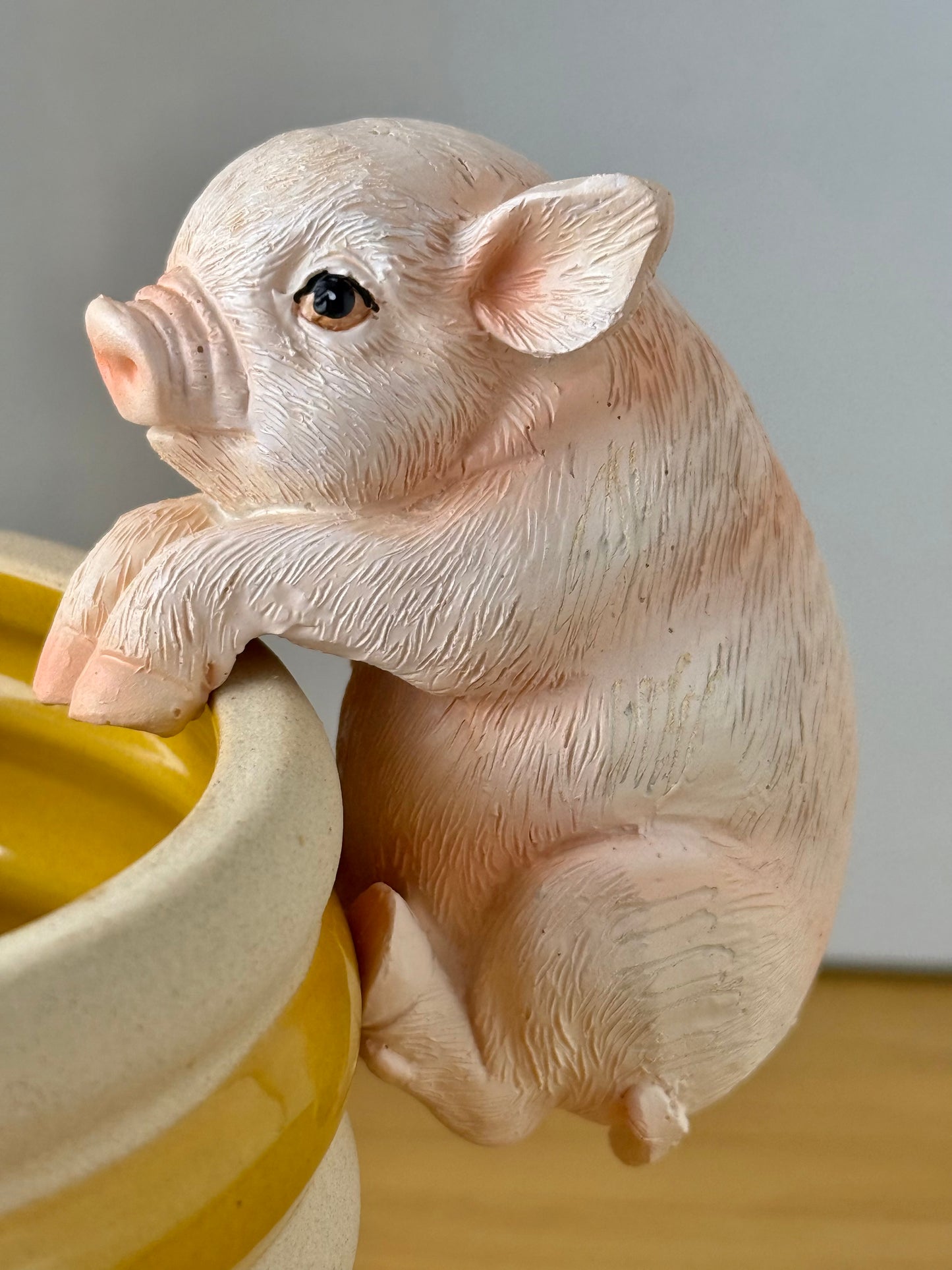 Pink Pig Plant Pot Hanger