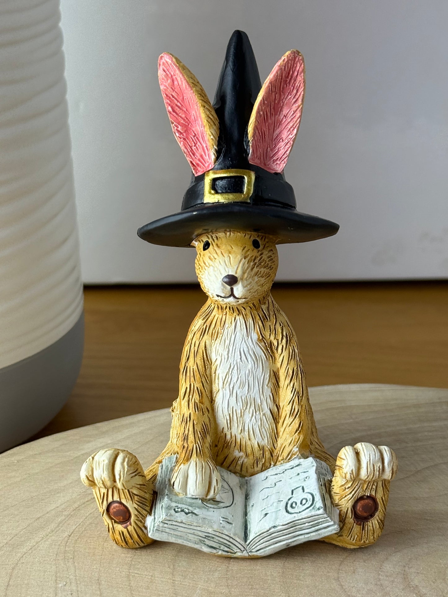 Jasper Rabbit Hocus Pocus