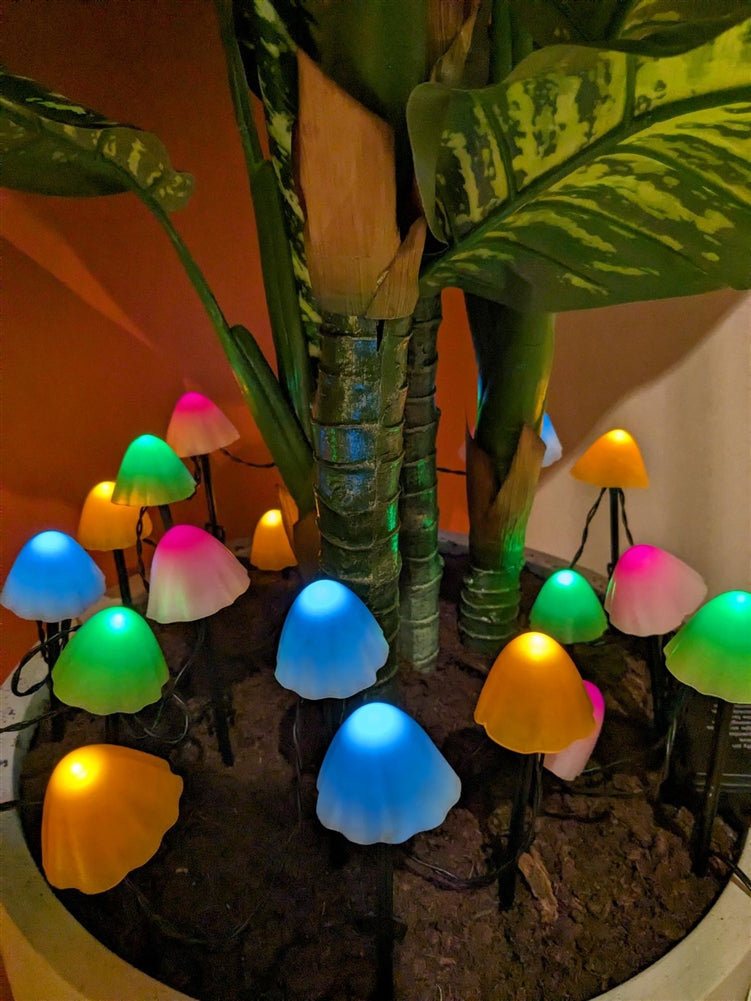 Light up Mushrooms, set of 20 coloured stake lights (LAST ONE)