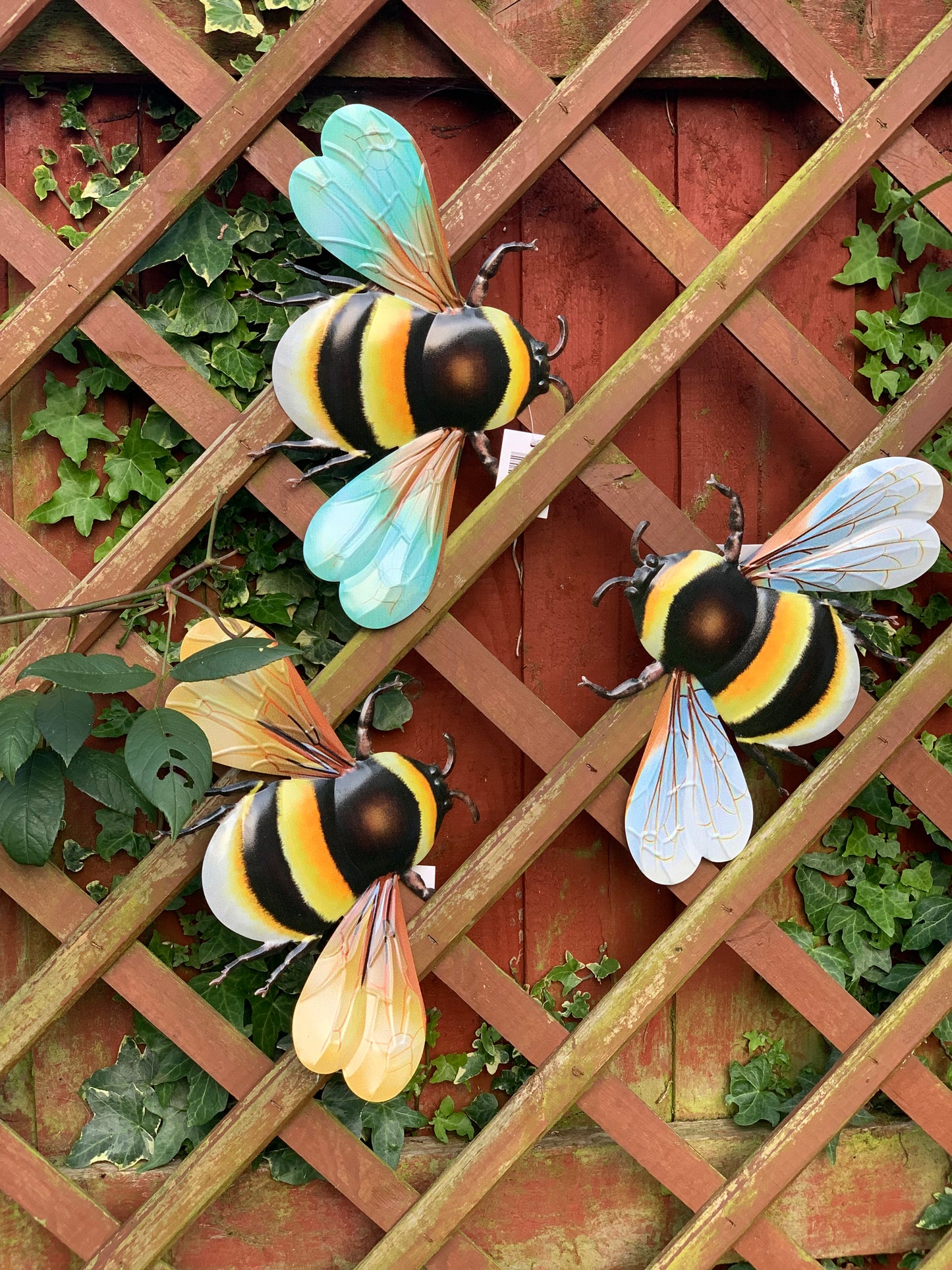 Bumble Bee - Small