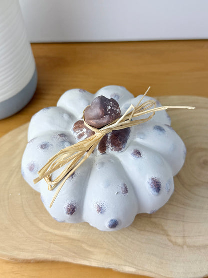 White textured pumpkins with rattan bow - Set of 2