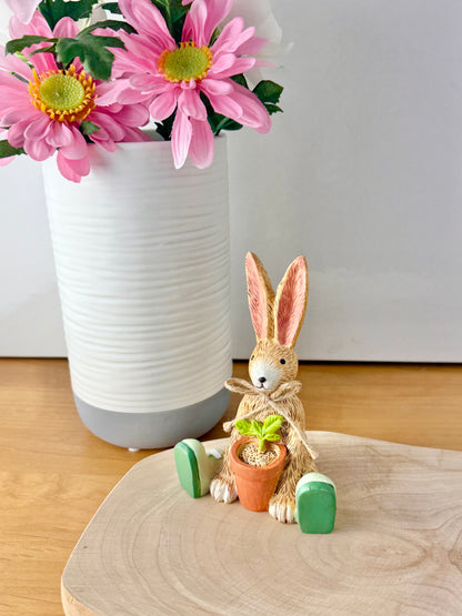 Jasper bunny with House Plant