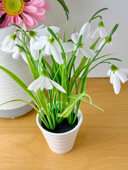 Snowdrops Plant pot