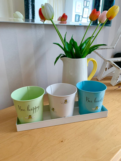 Bee Happy Set of 3 Pots & Tray