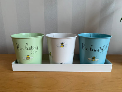 Bee Happy Set of 3 Pots & Tray