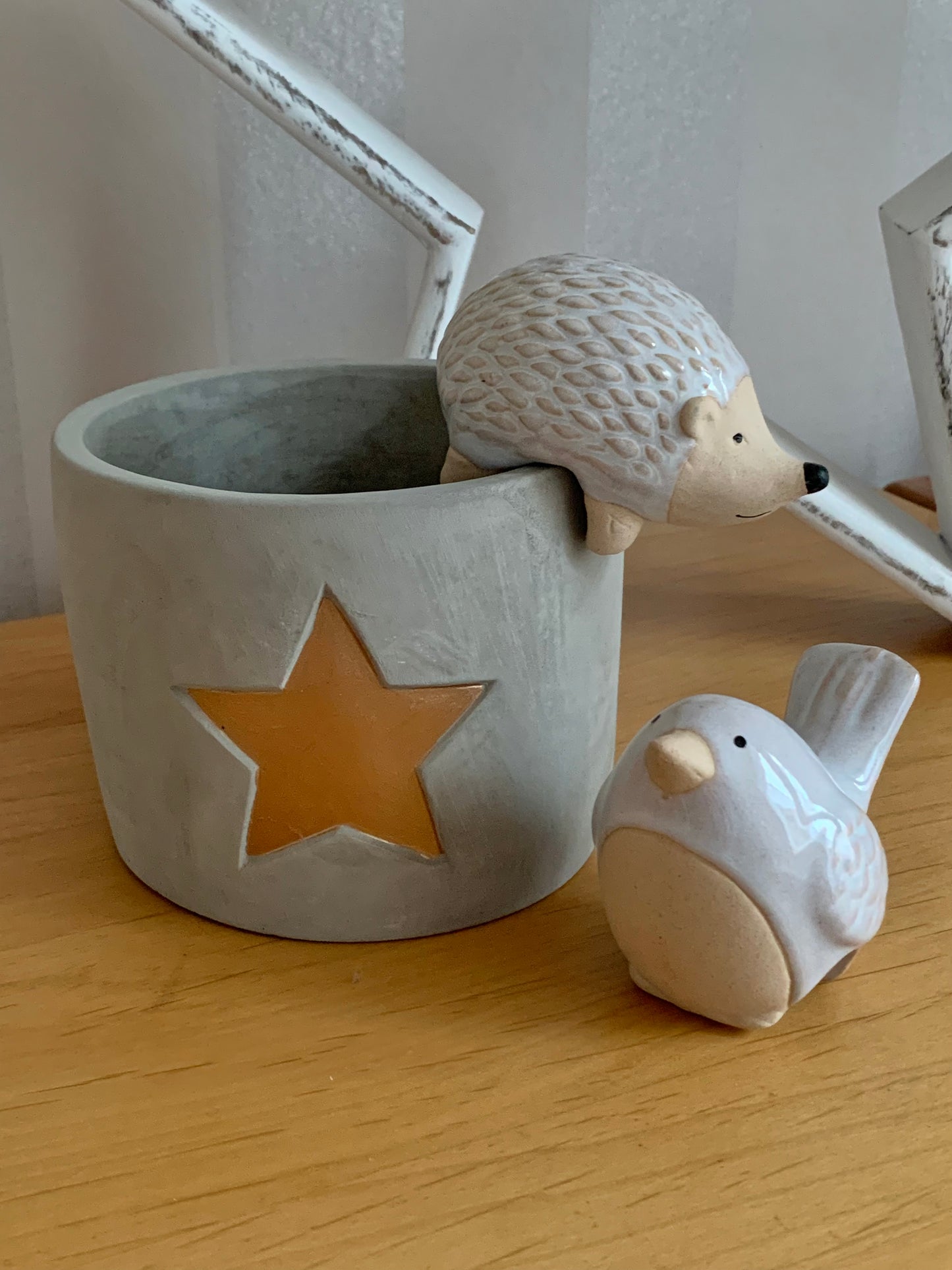 Grey Cement Pot with gold star