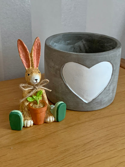 House Plant Bunny