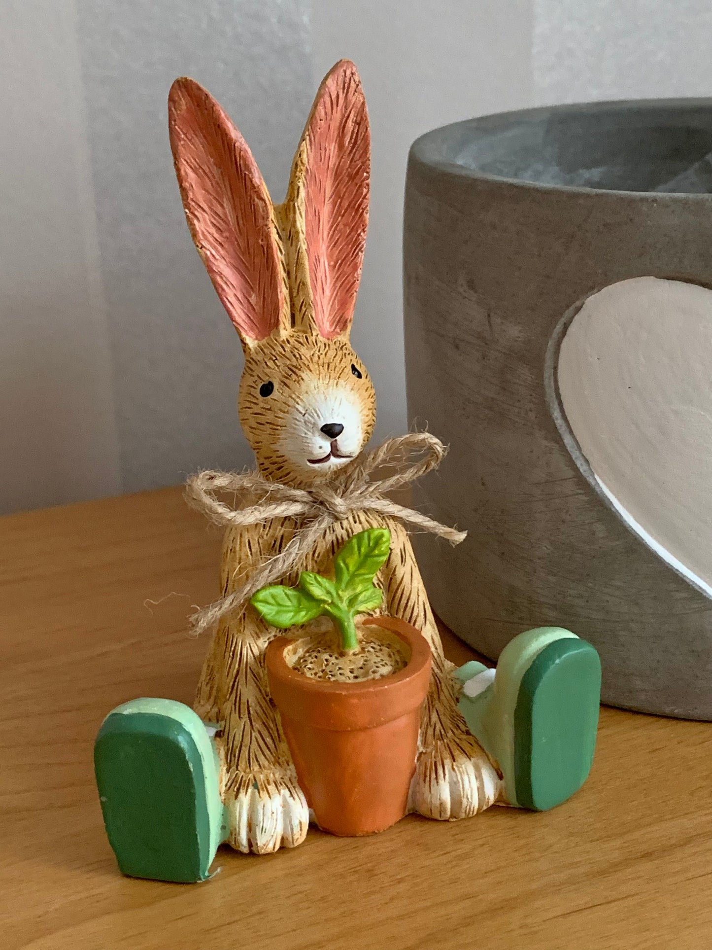 House Plant Bunny