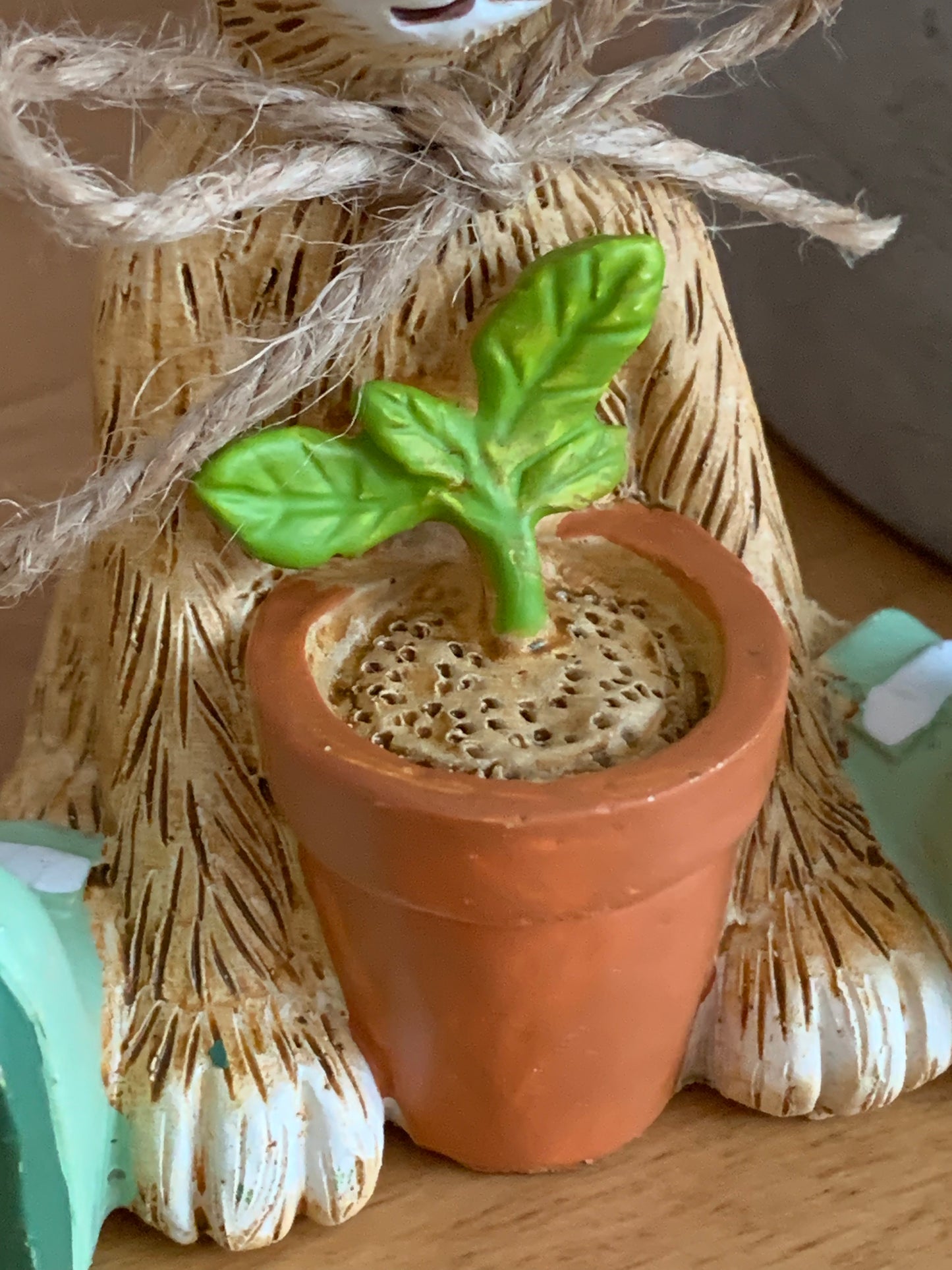 House Plant Bunny