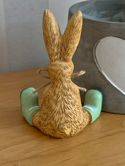 House Plant Bunny