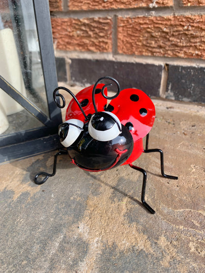 Bright Eyes Metal Ladybird