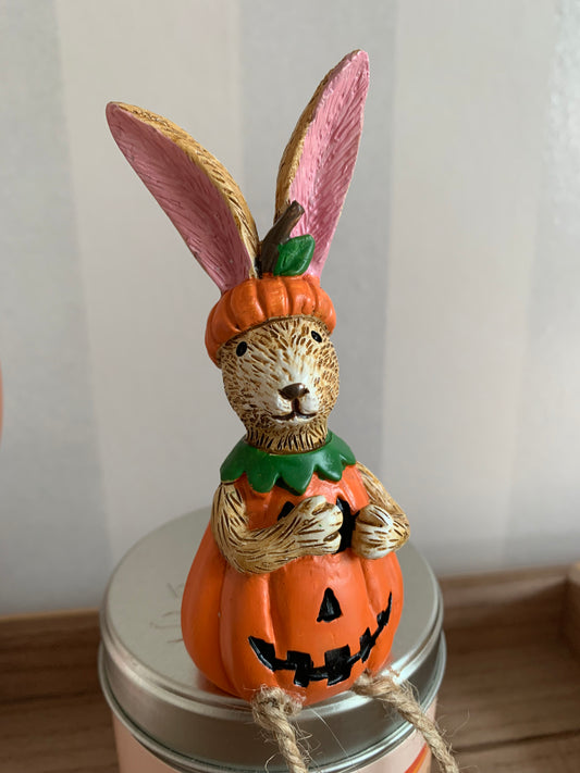 Jasper Rabbit Pumpkin shelf sitter