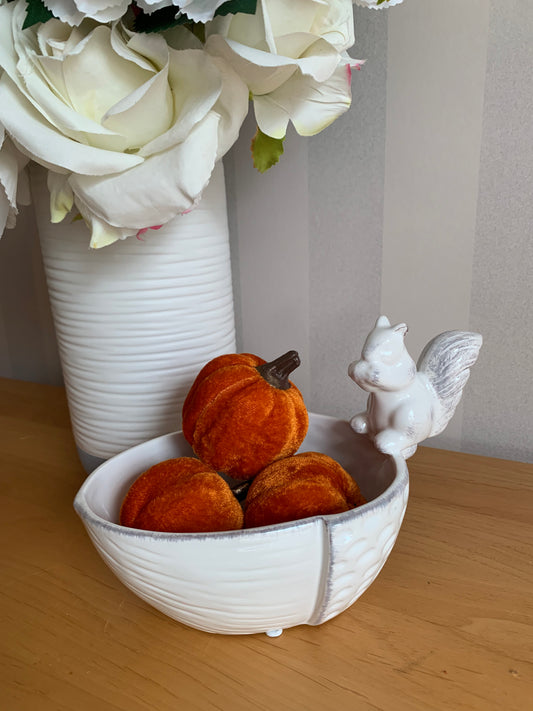 Ceramic Squirrel on Acorn Dish