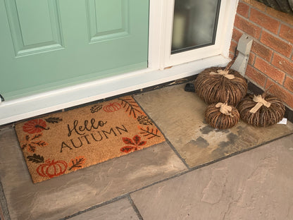 Hello Autumn with leaves & pumpkins Door Mat