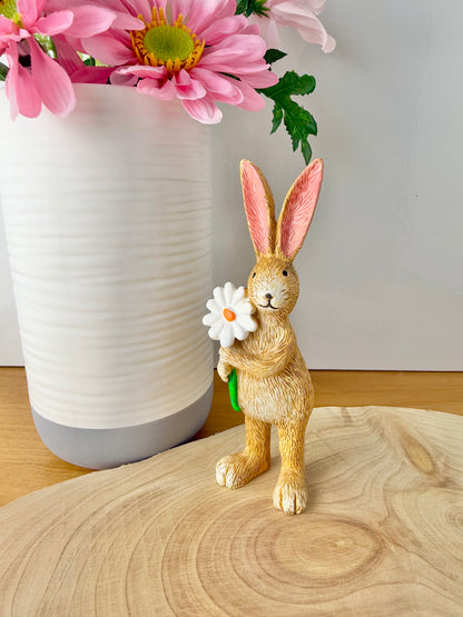 Jasper Rabbit with Daisy flower