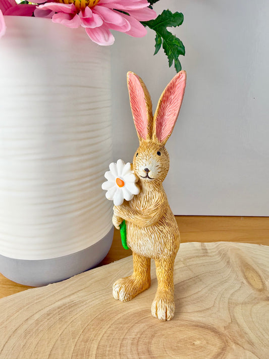 Jasper Rabbit with Daisy flower