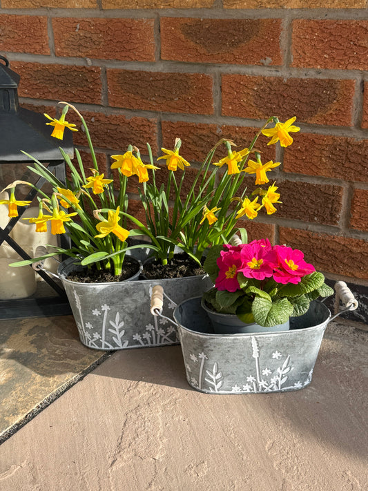 Meadow Oval Metal Planters with handles - 2 sizes