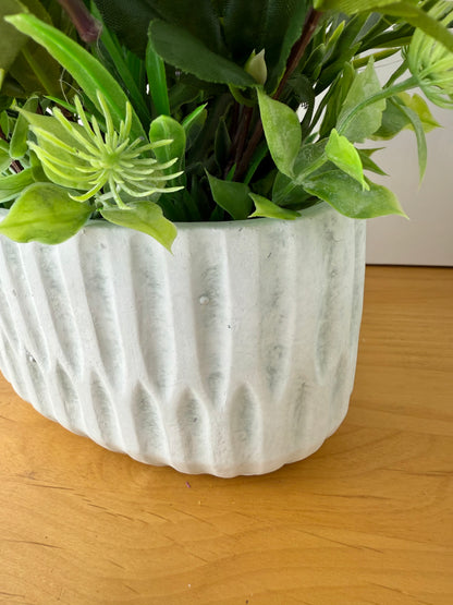 Pink Forever Flower & foiliage display within plant pot