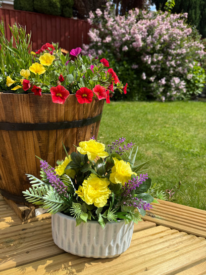 Yellow Forever Flower & foiliage display within plant pot