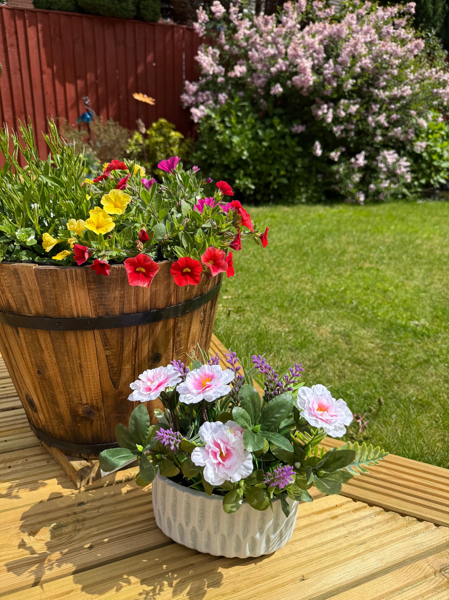Pink Forever Flower & foiliage display within plant pot