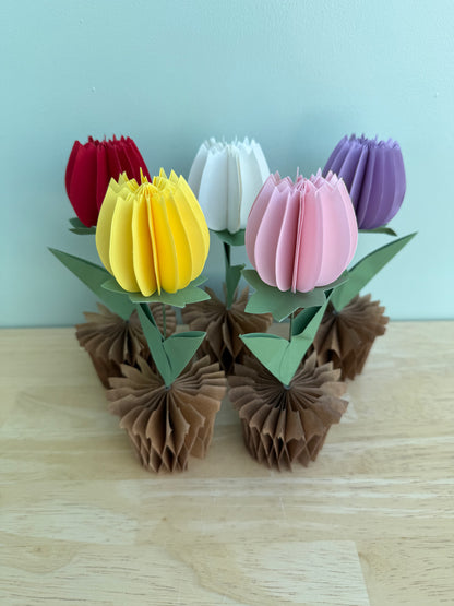 Popup Cardboard Forever Tulips for Spring - 5 colours