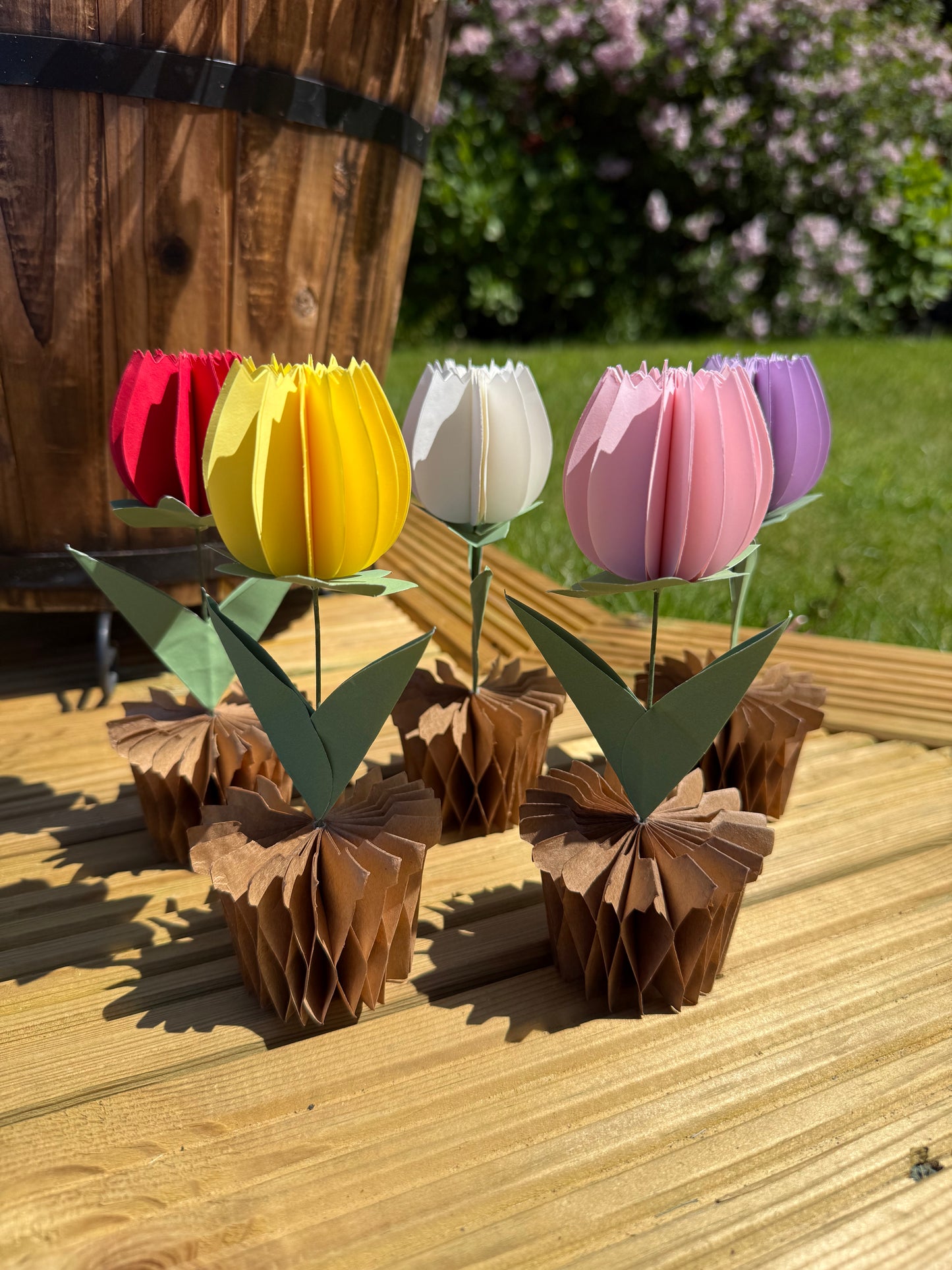 Popup Cardboard Forever Tulips for Spring - 5 colours