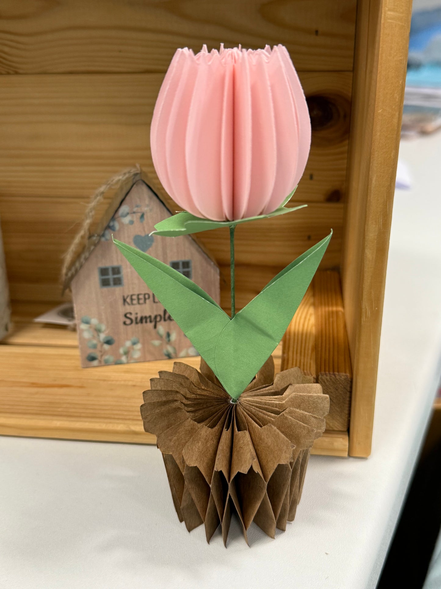 Popup Cardboard Forever Tulips for Spring - 5 colours