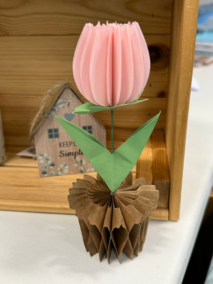 Popup Cardboard Forever Tulips for Spring - 5 colours