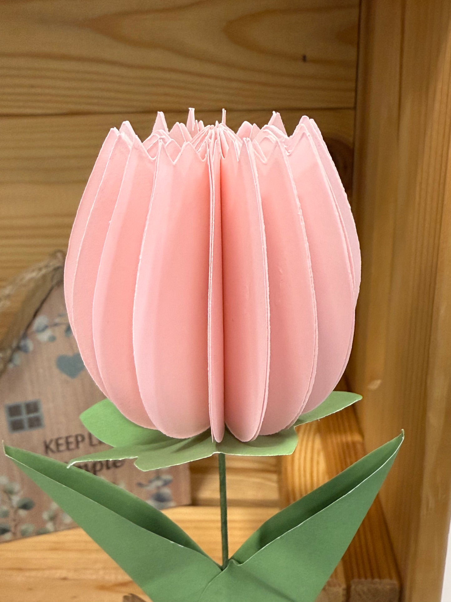 Popup Cardboard Forever Tulips for Spring - 5 colours