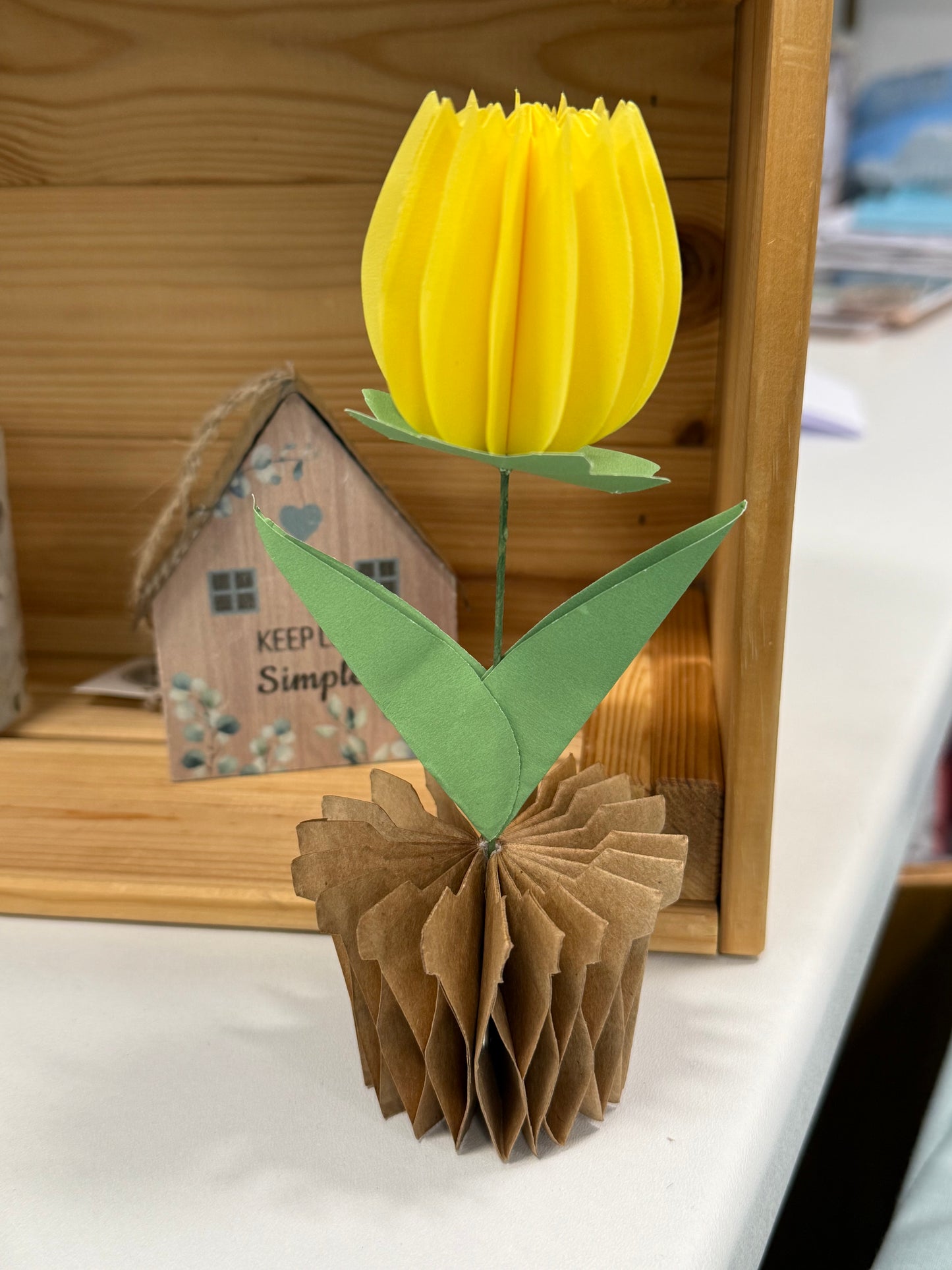 Popup Cardboard Forever Tulips for Spring - 5 colours