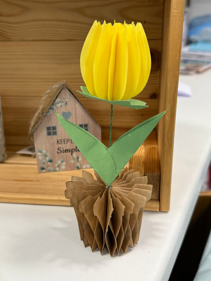 Popup Cardboard Forever Tulips for Spring - 5 colours