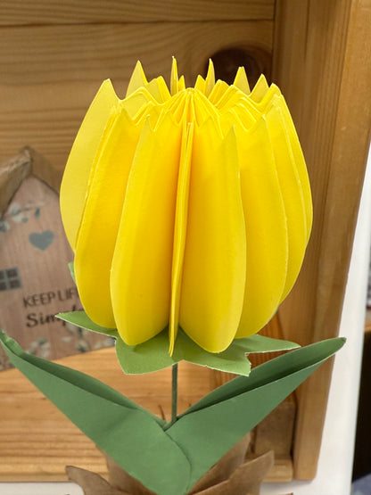 Popup Cardboard Forever Tulips for Spring - 5 colours