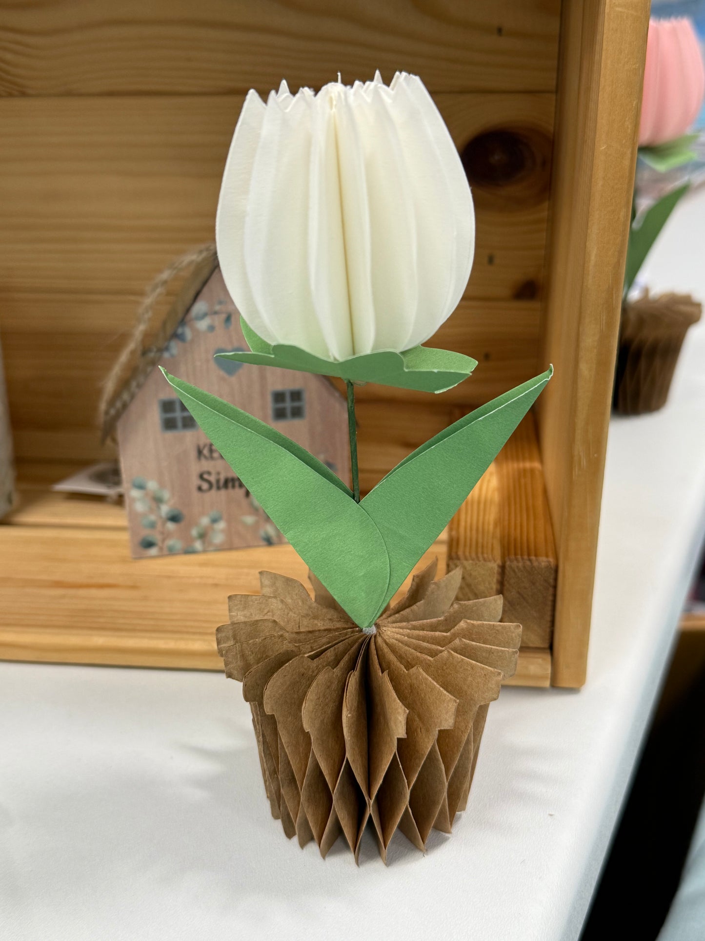 Popup Cardboard Forever Tulips for Spring - 5 colours