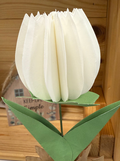 Popup Cardboard Forever Tulips for Spring - 5 colours