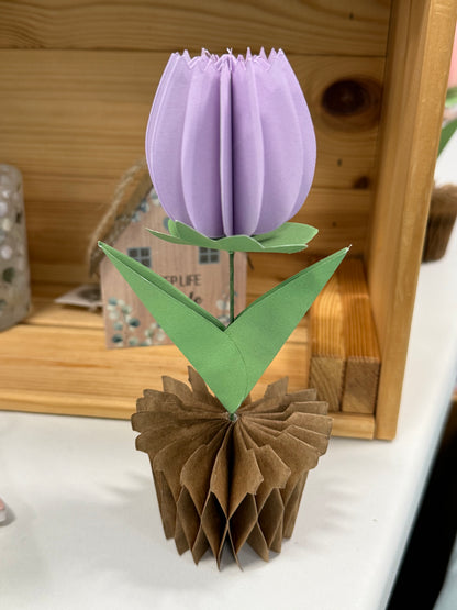 Popup Cardboard Forever Tulips for Spring - 5 colours