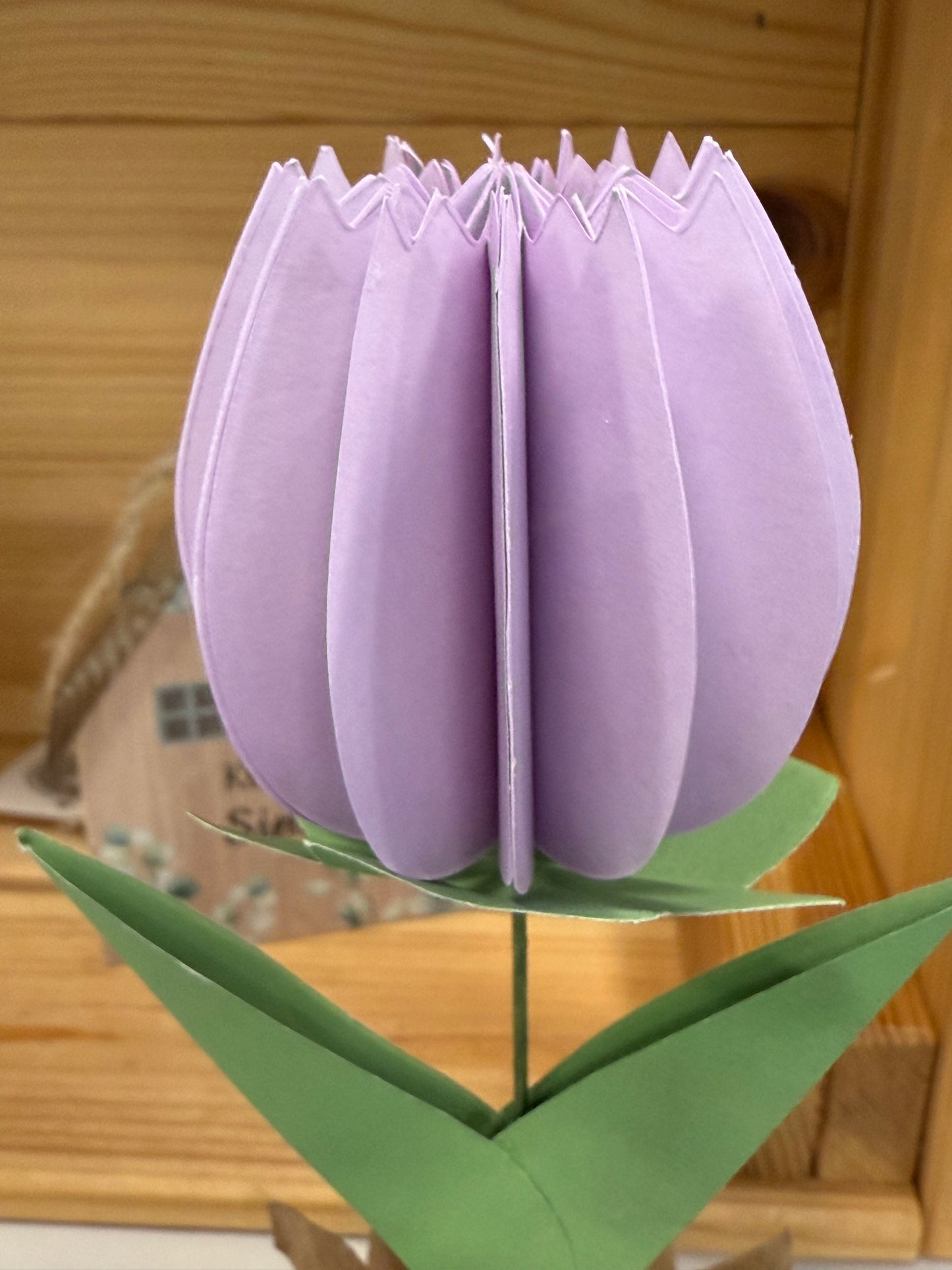 Popup Cardboard Forever Tulips for Spring - 5 colours