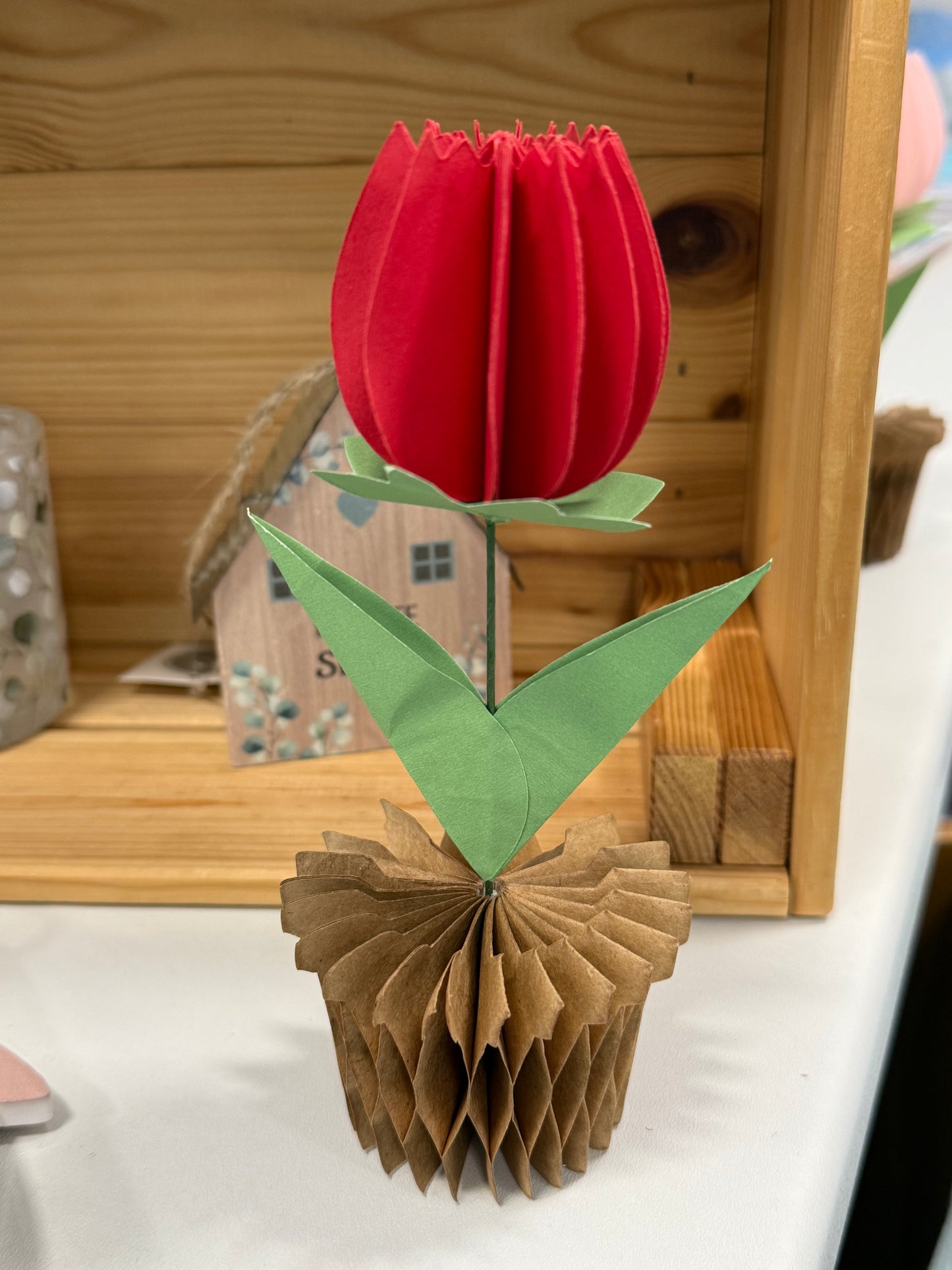Popup Cardboard Forever Tulips for Spring - 5 colours