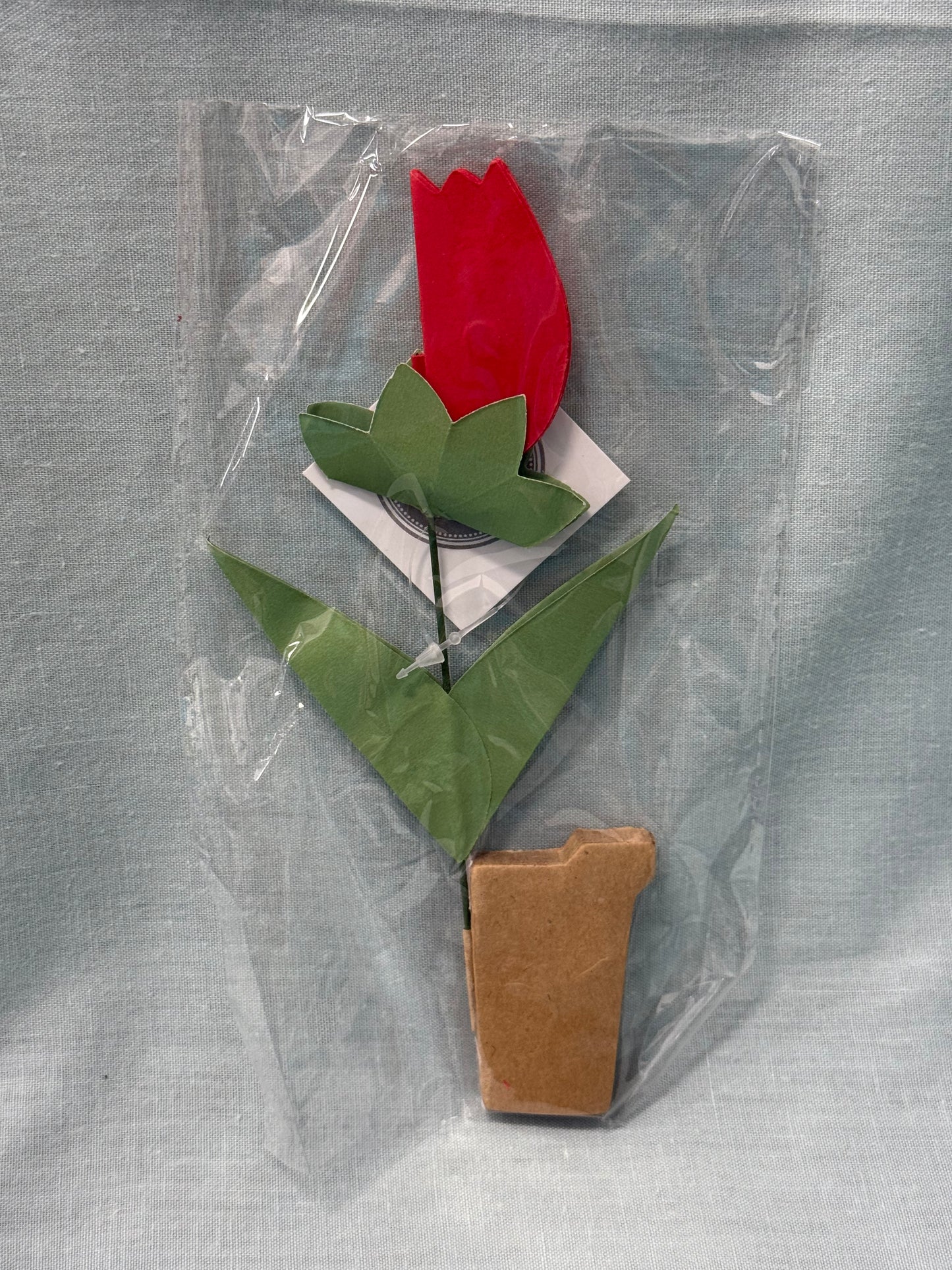 Popup Cardboard Forever Tulips for Spring - 5 colours