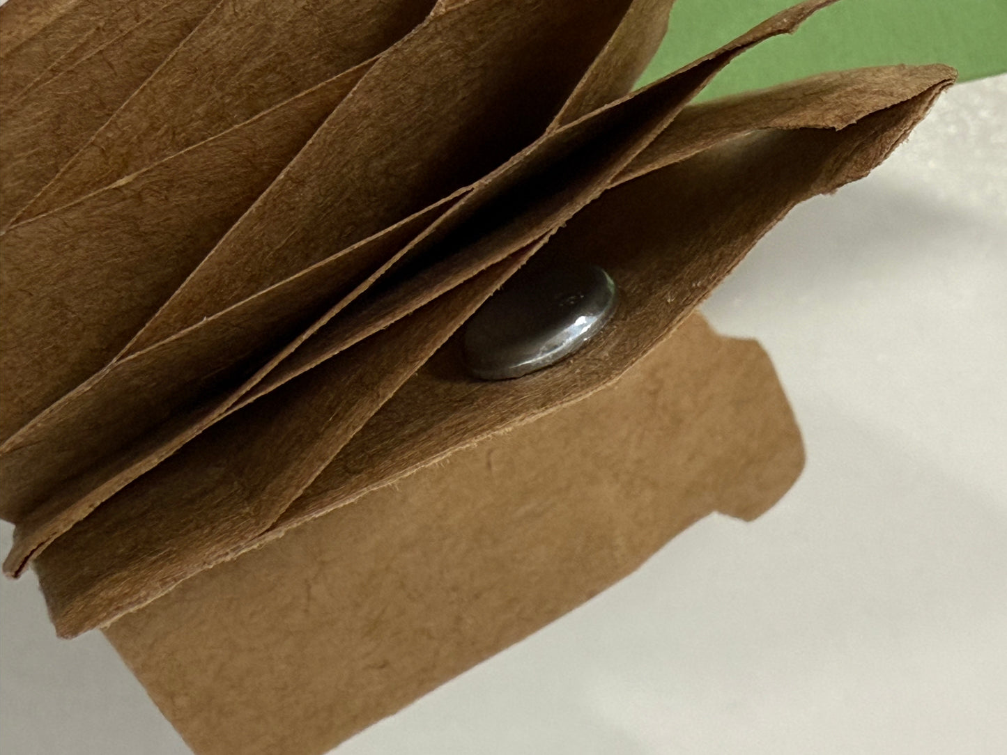 Popup Cardboard Forever Tulips for Spring - 5 colours