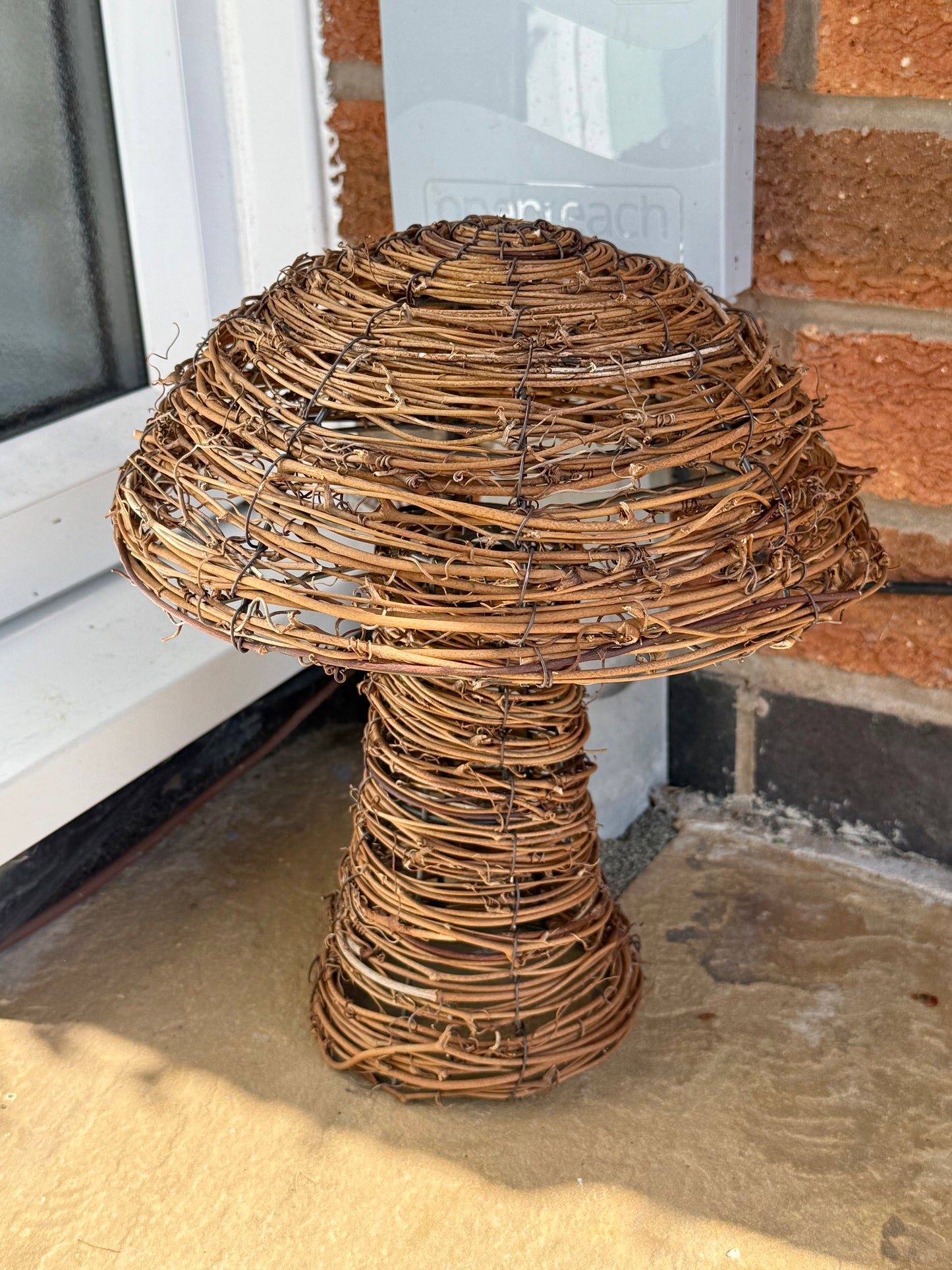 Rattan Toadstool