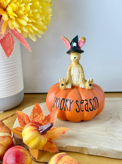 Jasper witch sat on a pumpkin