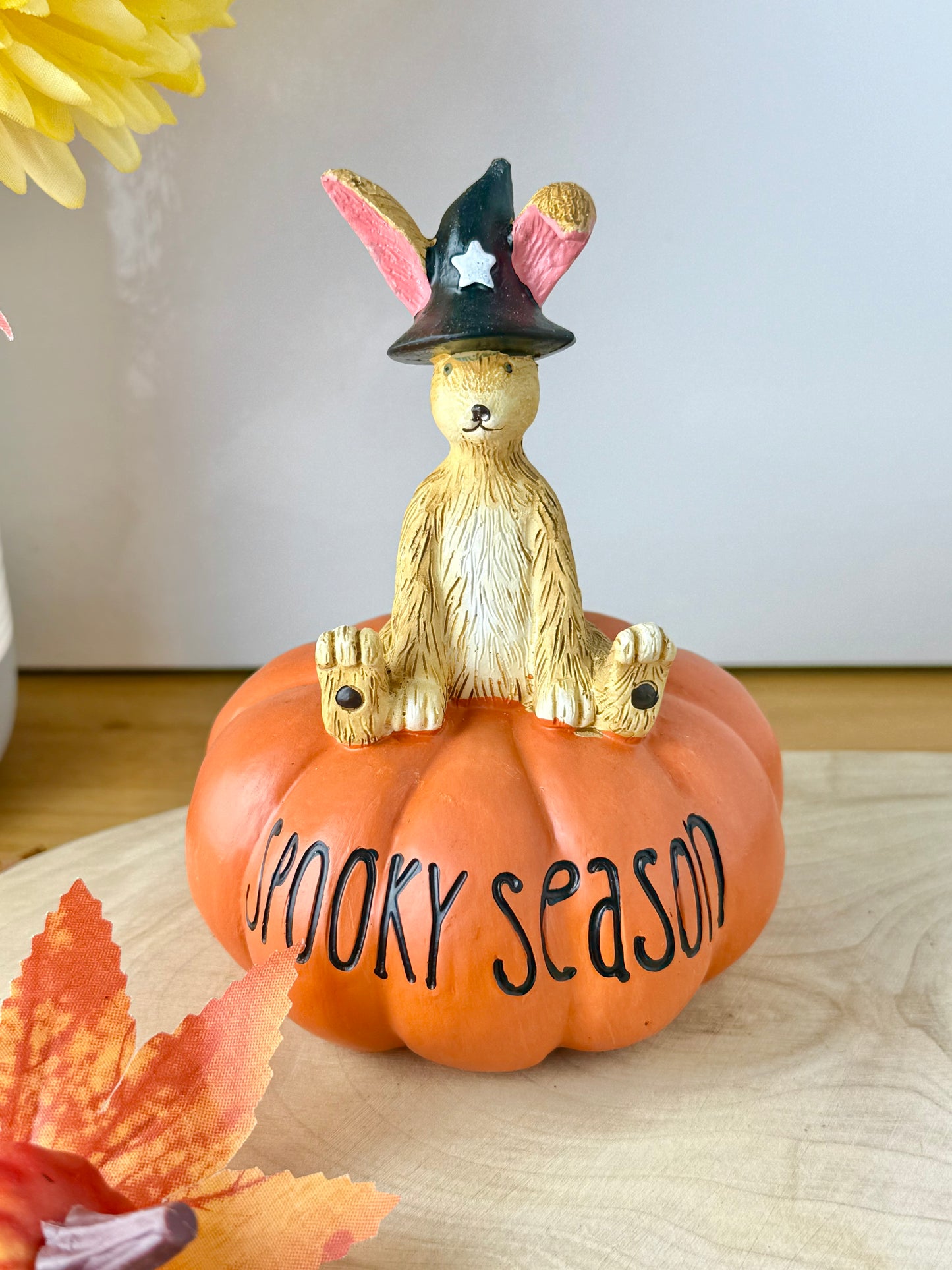 Jasper witch sat on a pumpkin