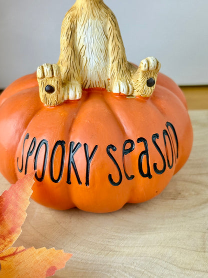 Jasper witch sat on a pumpkin