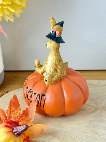 Jasper witch sat on a pumpkin